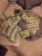 +27780121372 BEST Money Spells In USA UK To Become Rich In South Africa Canada Lesotho Zambia
