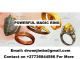 Powerful magic ring work 1 day spell +27736844586