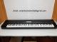 Yamaha Genos 76-Key, Yamaha PSR-SX900, Korg Pa4X 76 key, Korg PA-1000, Roland FANTOM-8